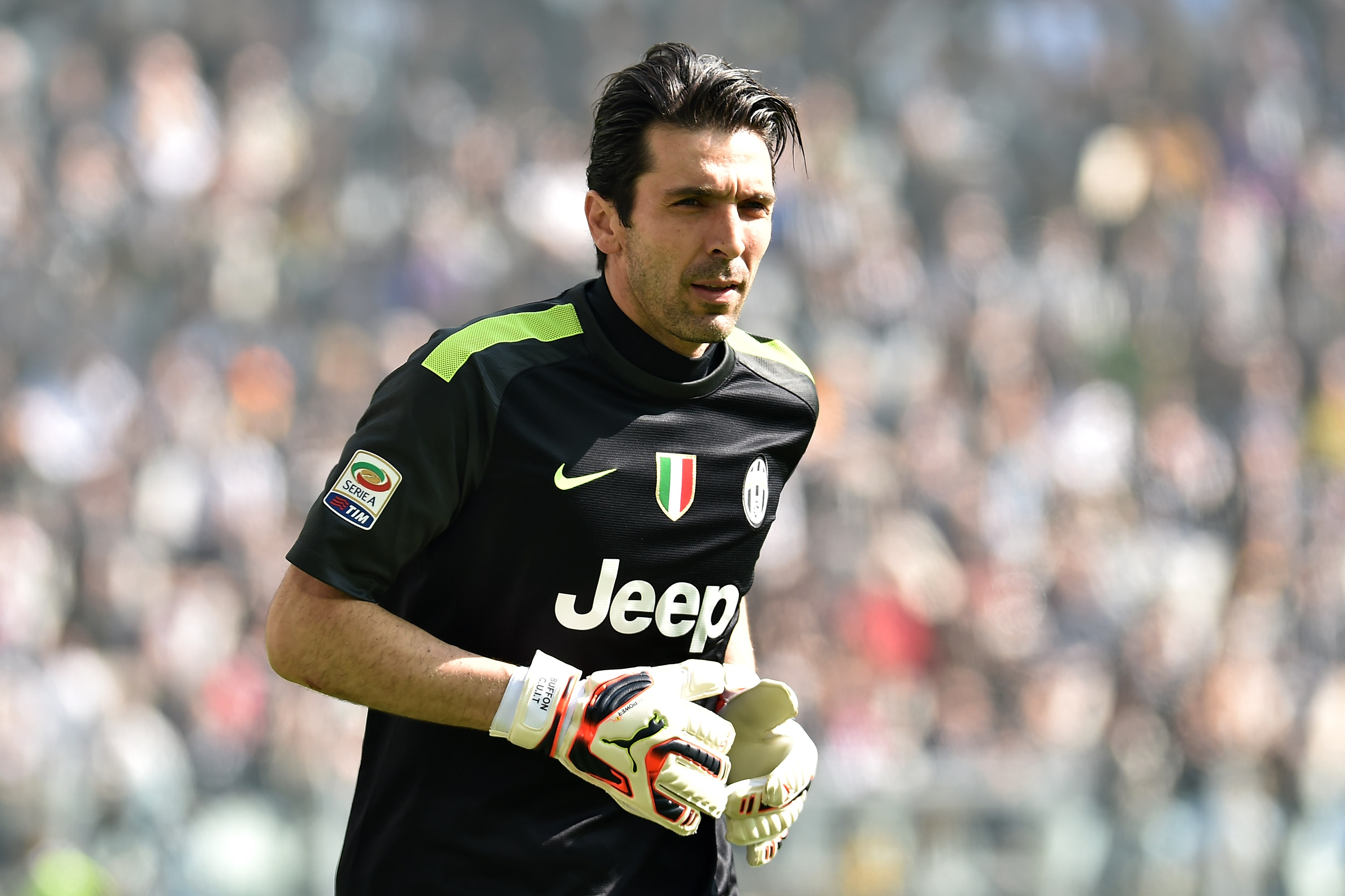 Preview Buffon - HD Wallpaper 
