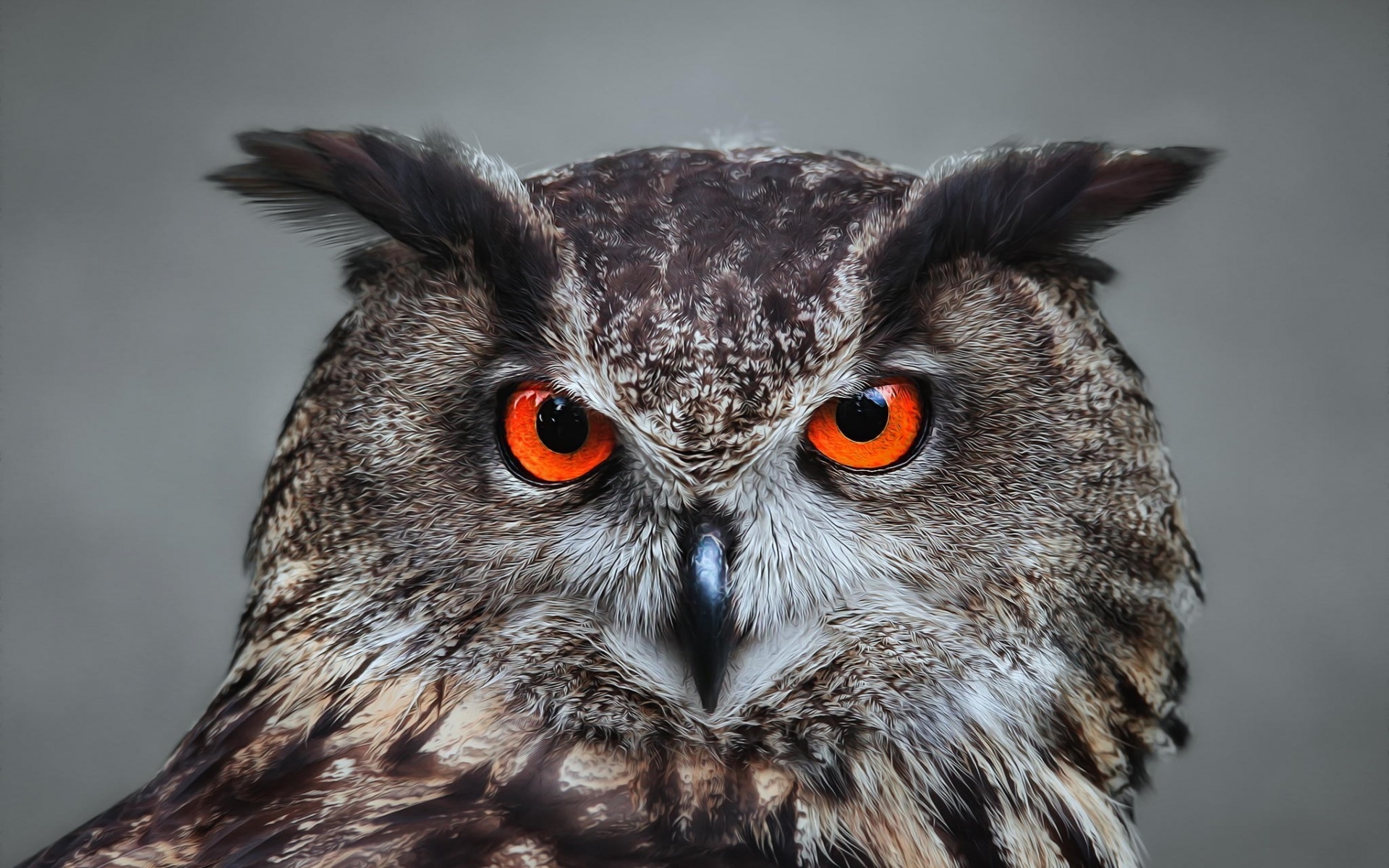 Great Horned Owl Red Eyes - HD Wallpaper 