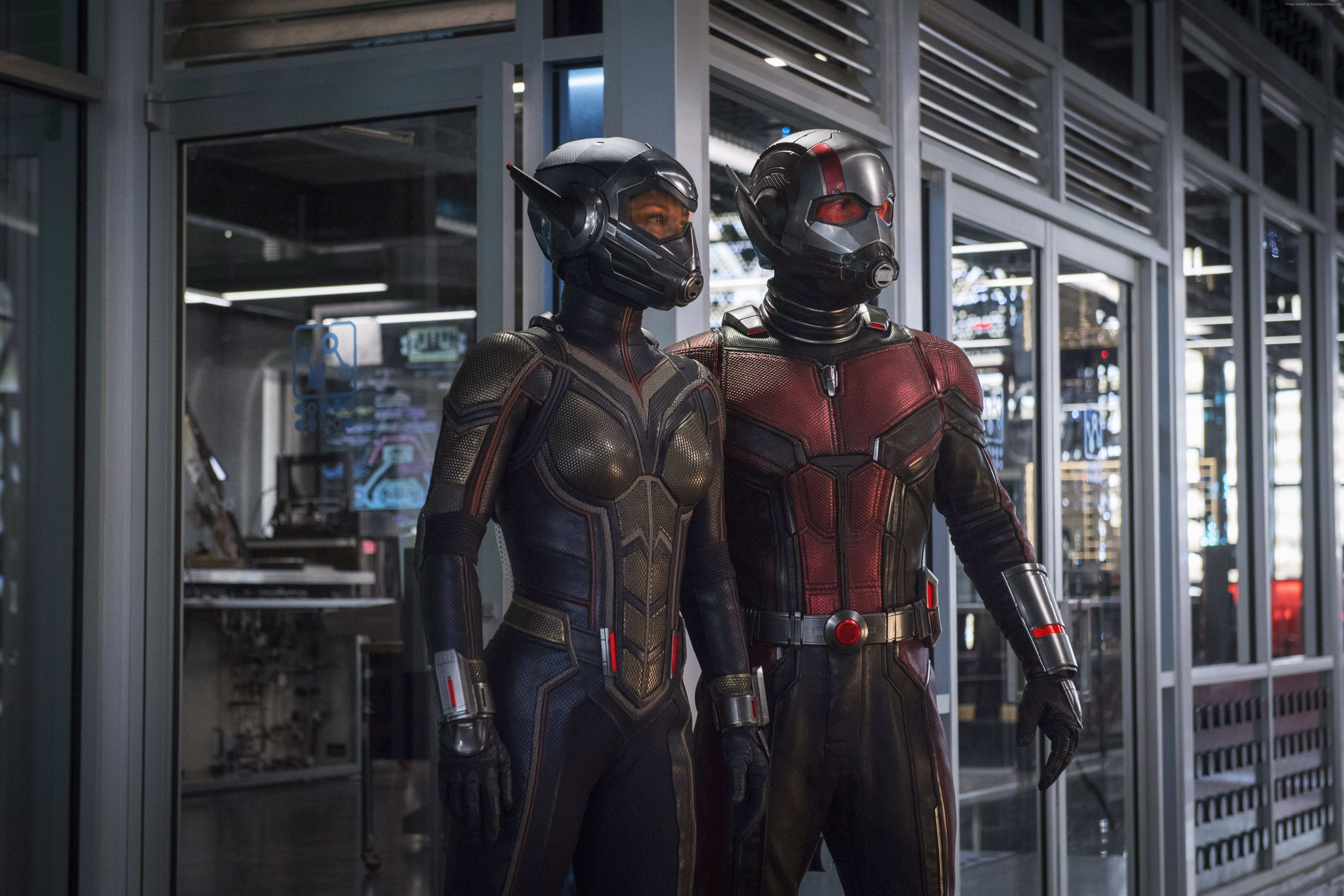 Mcu Ant Man And The Wasp - HD Wallpaper 
