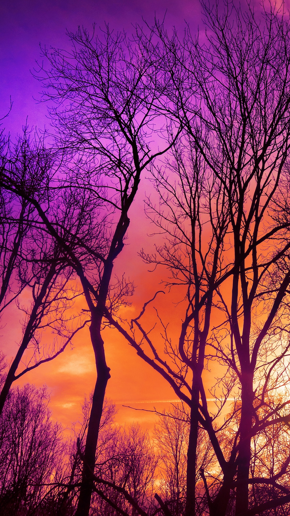 Wallpaper Trees, Sunset, Autumn - Autumn Laptop Backgrounds Hd - HD Wallpaper 
