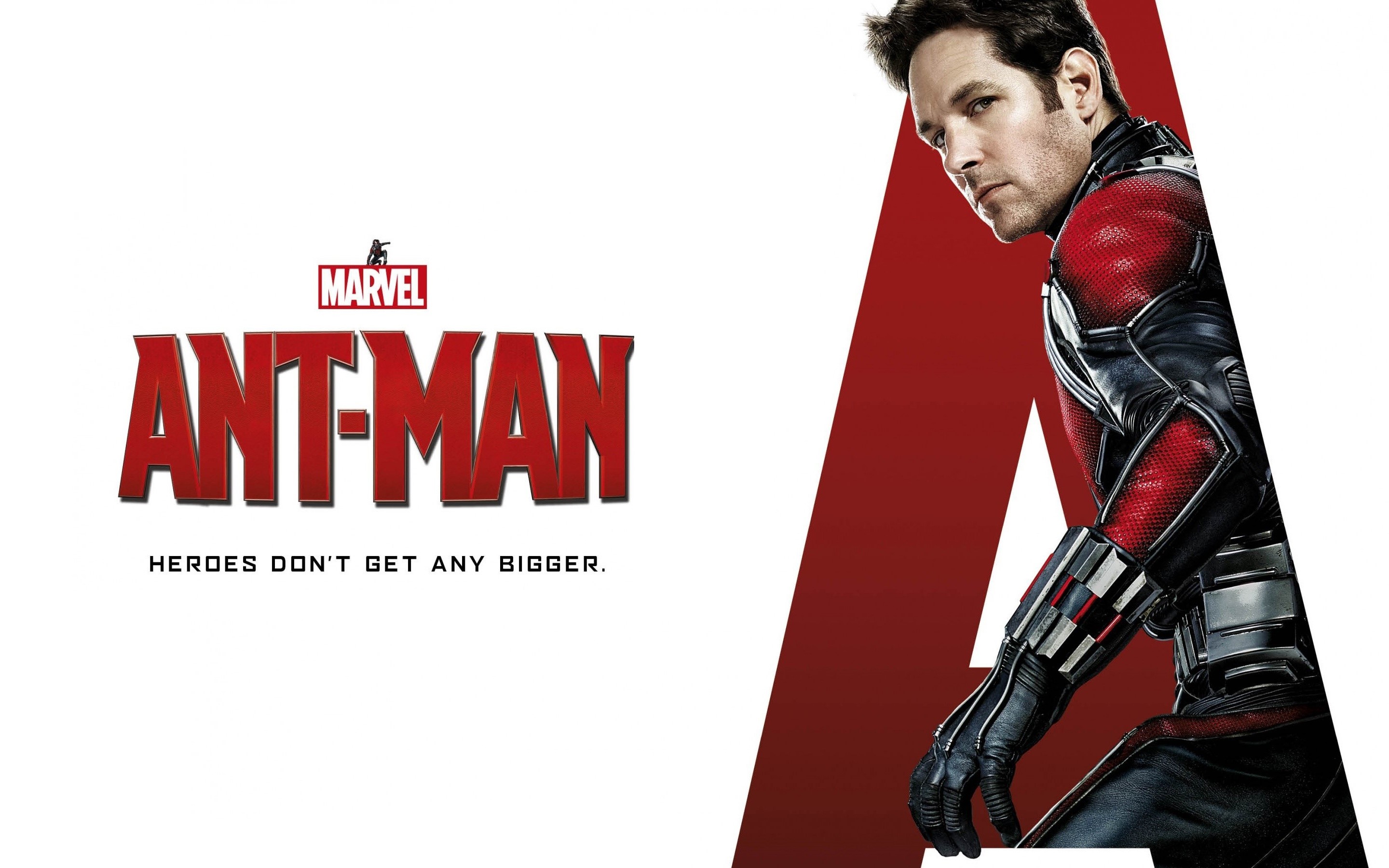 Paul Rudd Ant Man Avengers - HD Wallpaper 