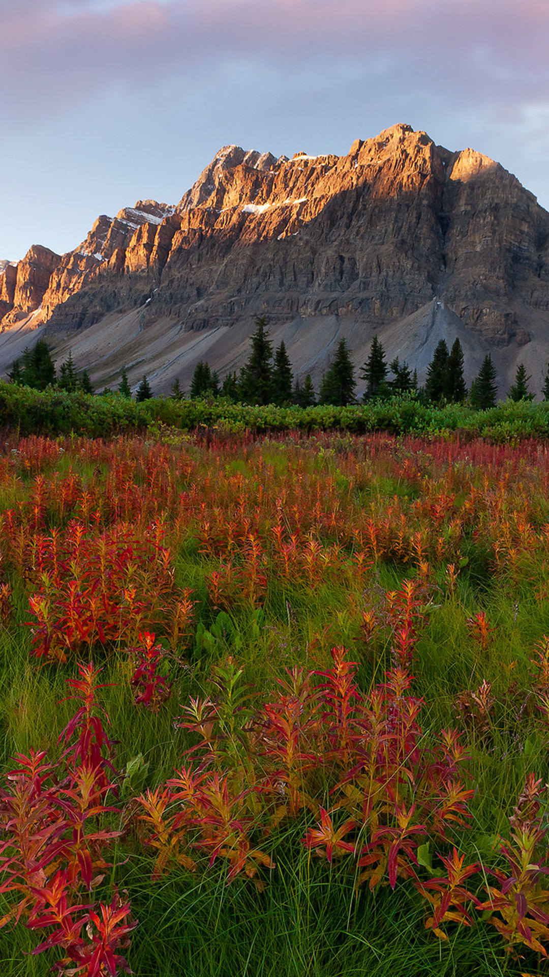 Fall Has Dell - Montana Scenery - HD Wallpaper 