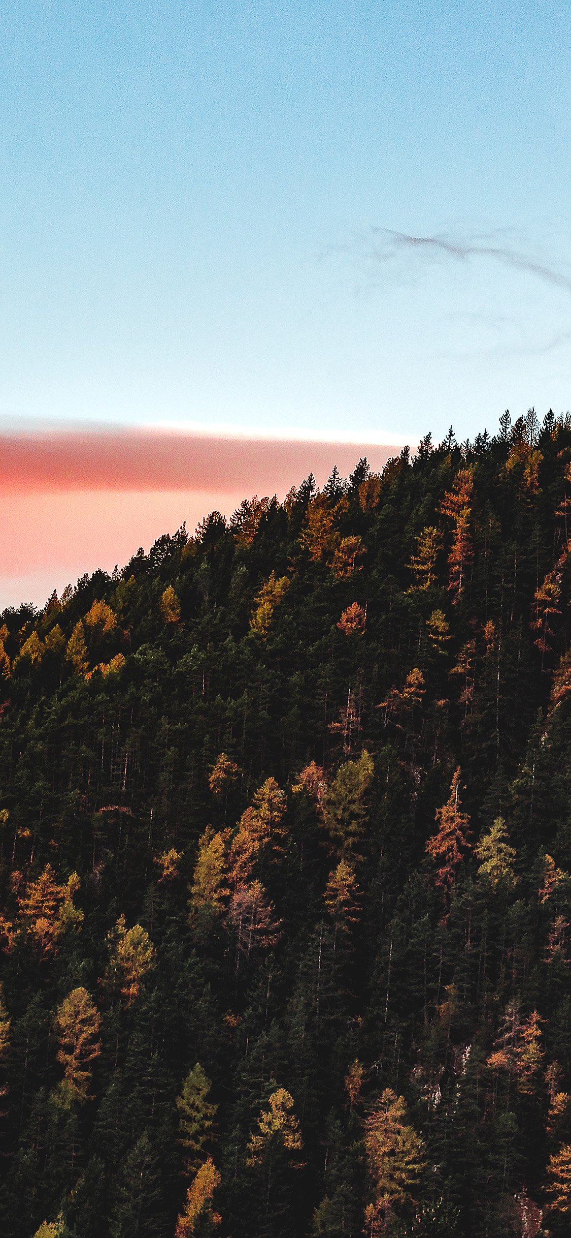 Nature Fall Wallpaper Iphone - HD Wallpaper 