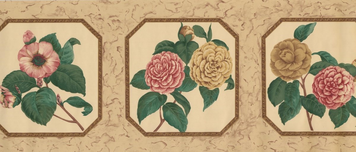 Garden Roses - HD Wallpaper 