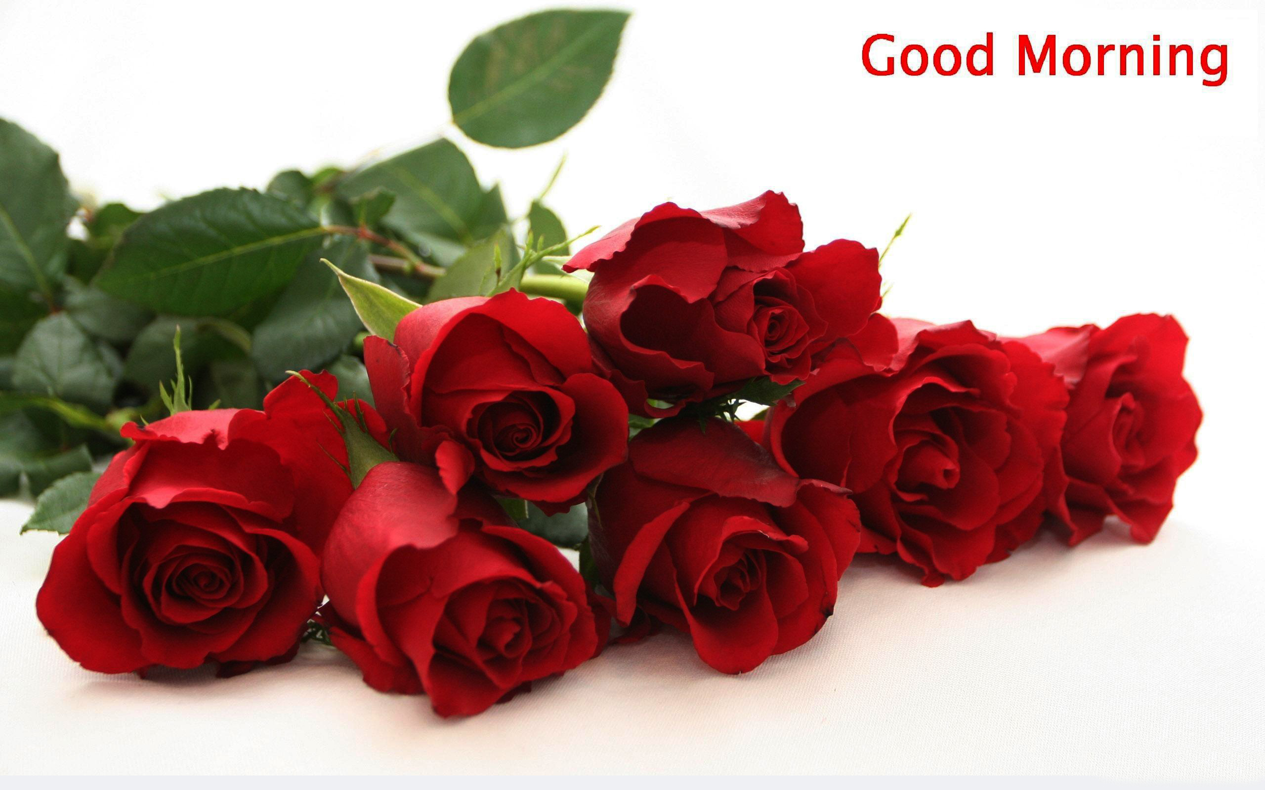 Png Flowers Red Roses - HD Wallpaper 