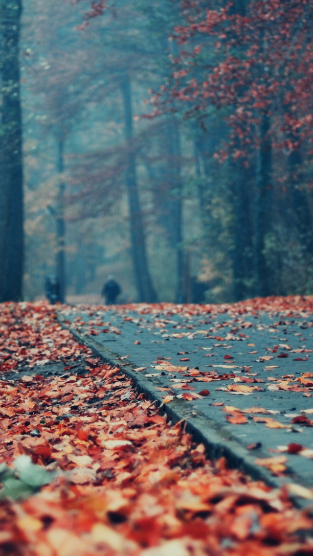 Road Deck Autumn Leaves Iphone Wallpaper - Autumn Leaves Wallpaper For Iphone - HD Wallpaper 