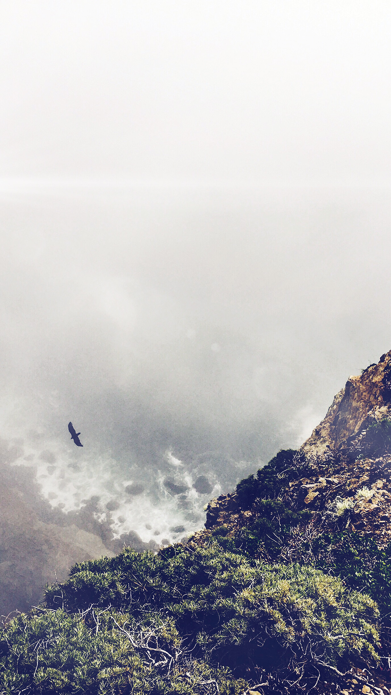 Mountain Bird Cliff Animal Fog Cloud Flare Android - Animal Background For Iphone - HD Wallpaper 