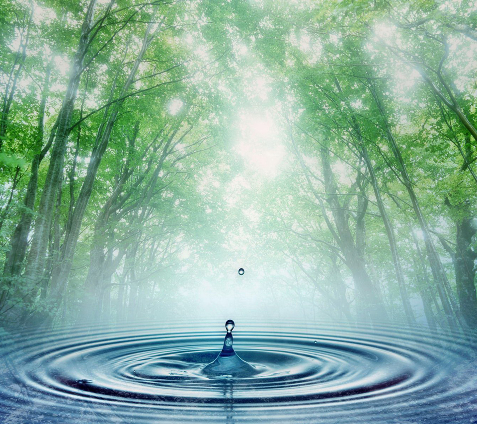 Hd Water Drop In The Forest Android Wallpapers - Full Hd Wallpapers For Android Mobile Full Screen - 960x854 Wallpaper Hd Water Drop In The Forest Android Wallpapers - Full Hd Wallpapers For Android Mobile Full Screen - 960x854 Wallpaper