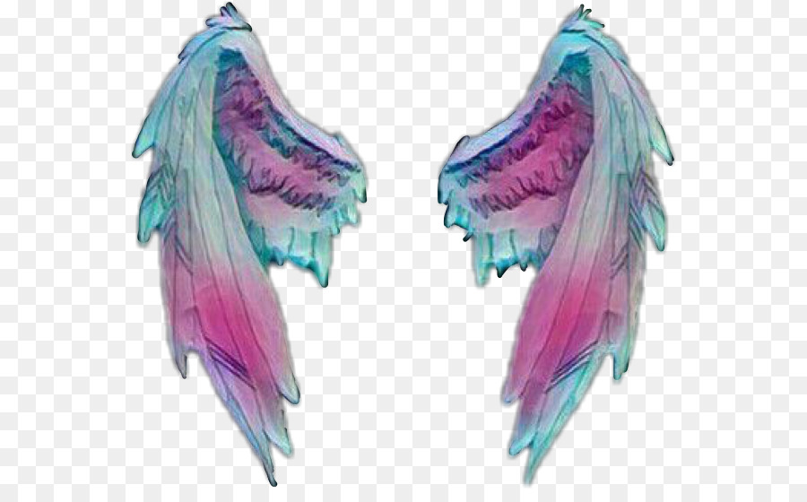 Wings For Photo Editing 900x560 Wallpaper teahub.io