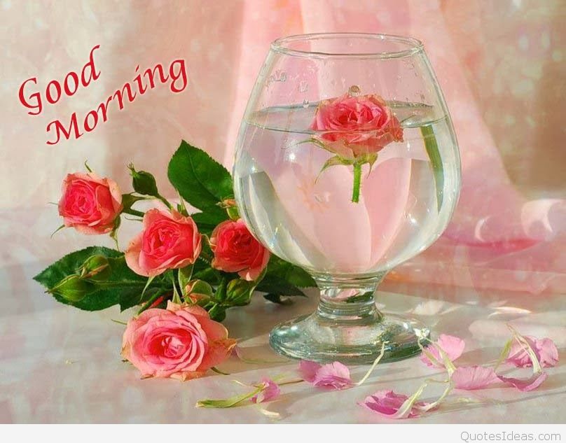 Good Morning Beautiful Rose Hd - Beautiful Wallpaper Good Mornings - HD Wallpaper 