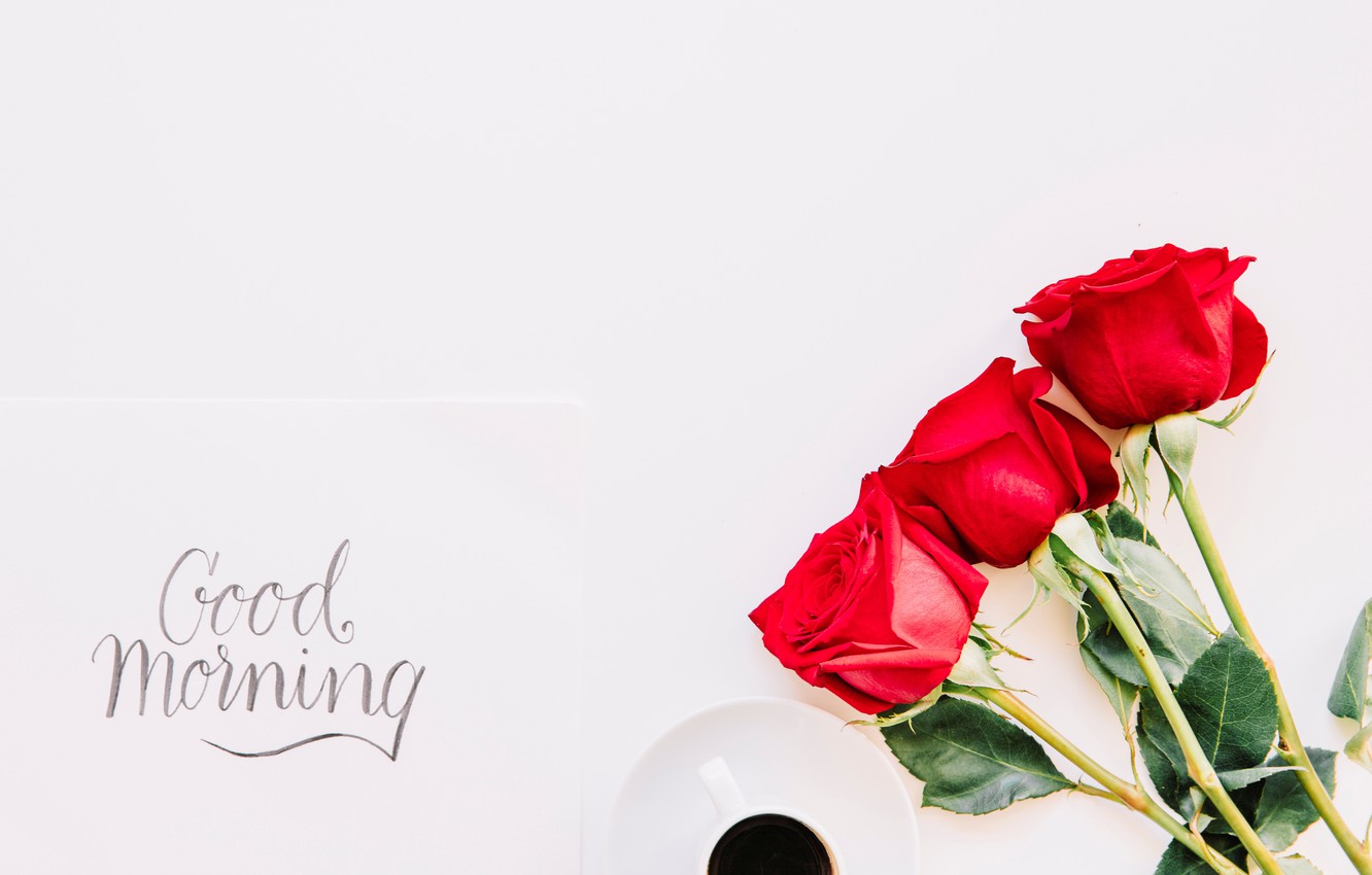 Photo Wallpaper Roses, Bouquet, Red, Red, Cup, Romantic, - Romantic Good Morning Roses - HD Wallpaper 