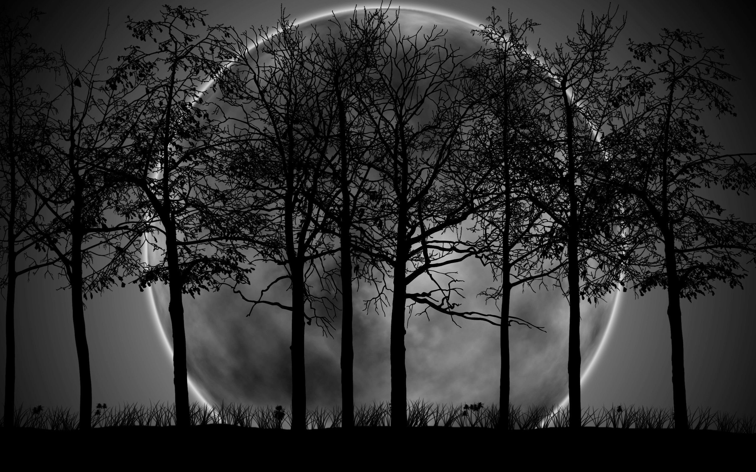 Featured image of post View 26 Black Forest Wallpaper For Pc