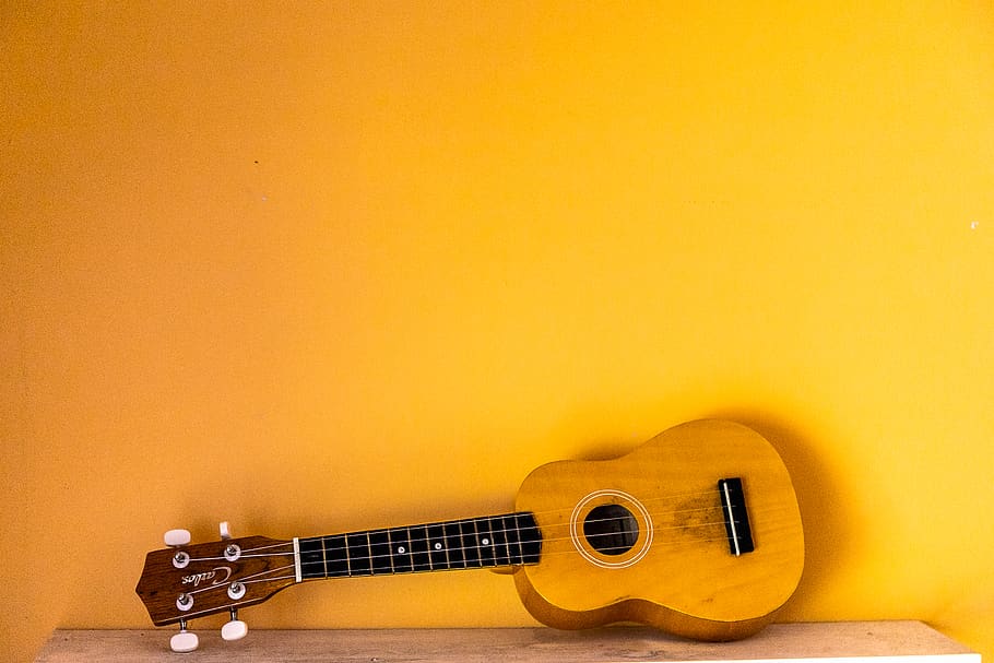 Guitar, Musical Instrument, Leisure Activities, Bass - Acoustic Guitar - HD Wallpaper 