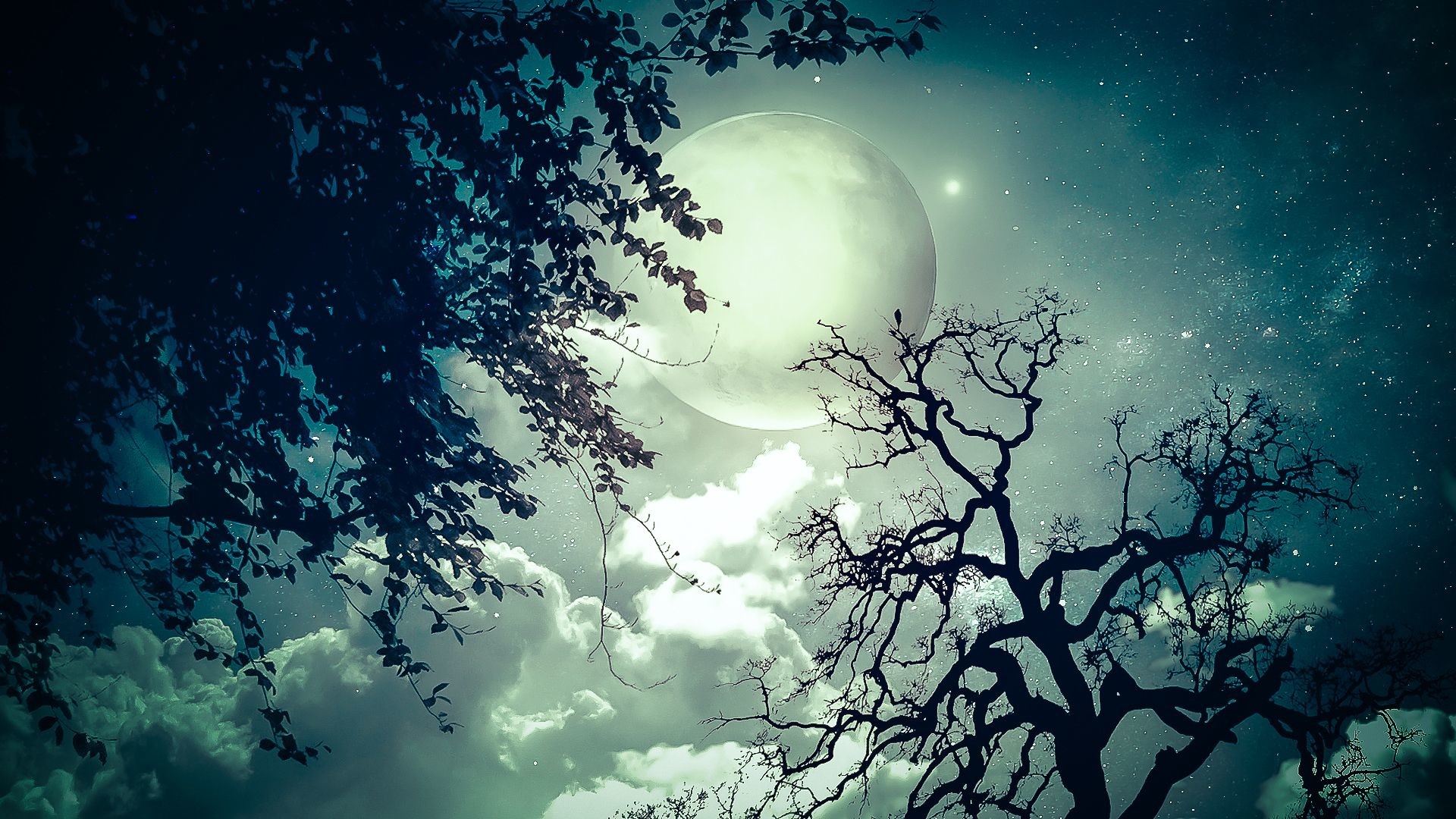 Hd Wallpapers Widescreen 1080p 3d - Trees And The Moon - HD Wallpaper 