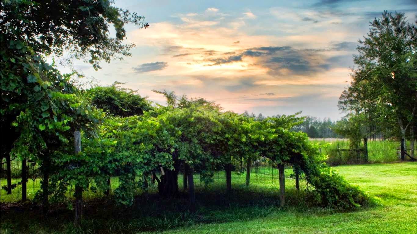 Desktop Wallpapers - Summer Season - HD Wallpaper 