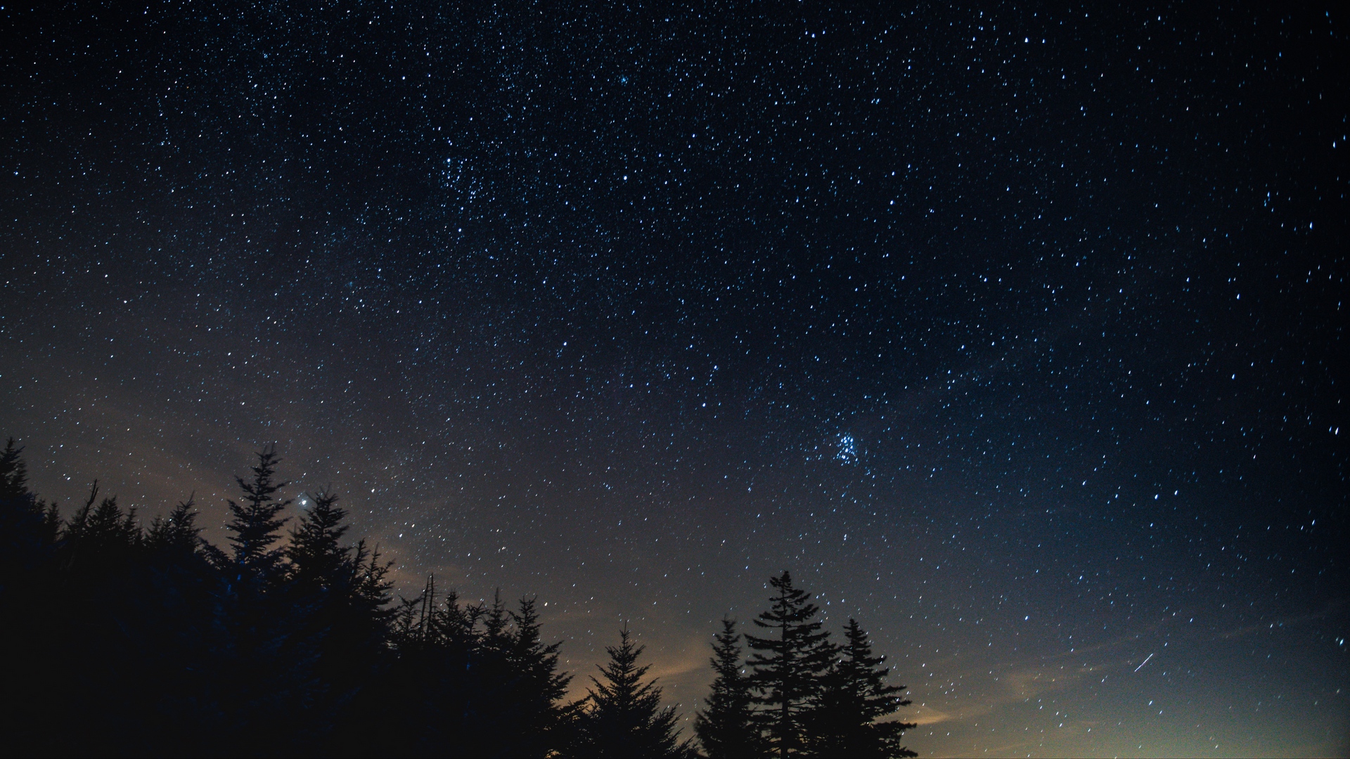 Wallpaper Starry Sky, Night, Trees, Night Landscape - Night Sky - HD Wallpaper 