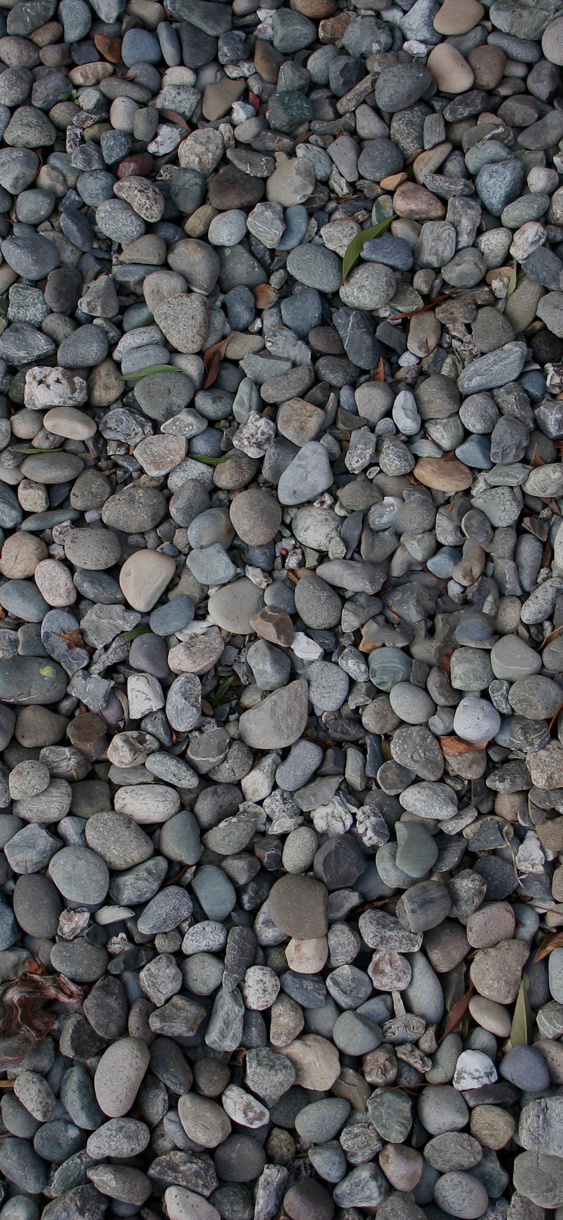 Iphone X Wallpaper - Grey Hd Wallpaper Iphone X - HD Wallpaper 