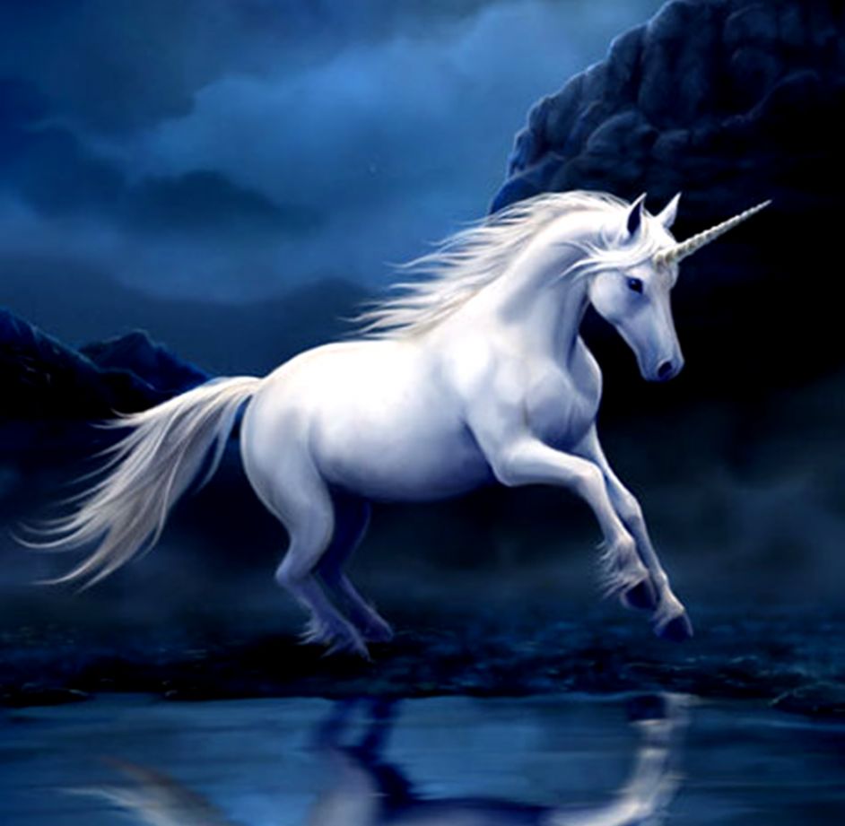 Unicorn Wallpapers Hd Best Unicorn Fantasy Art Background - Heart Of A Unicorn - HD Wallpaper 