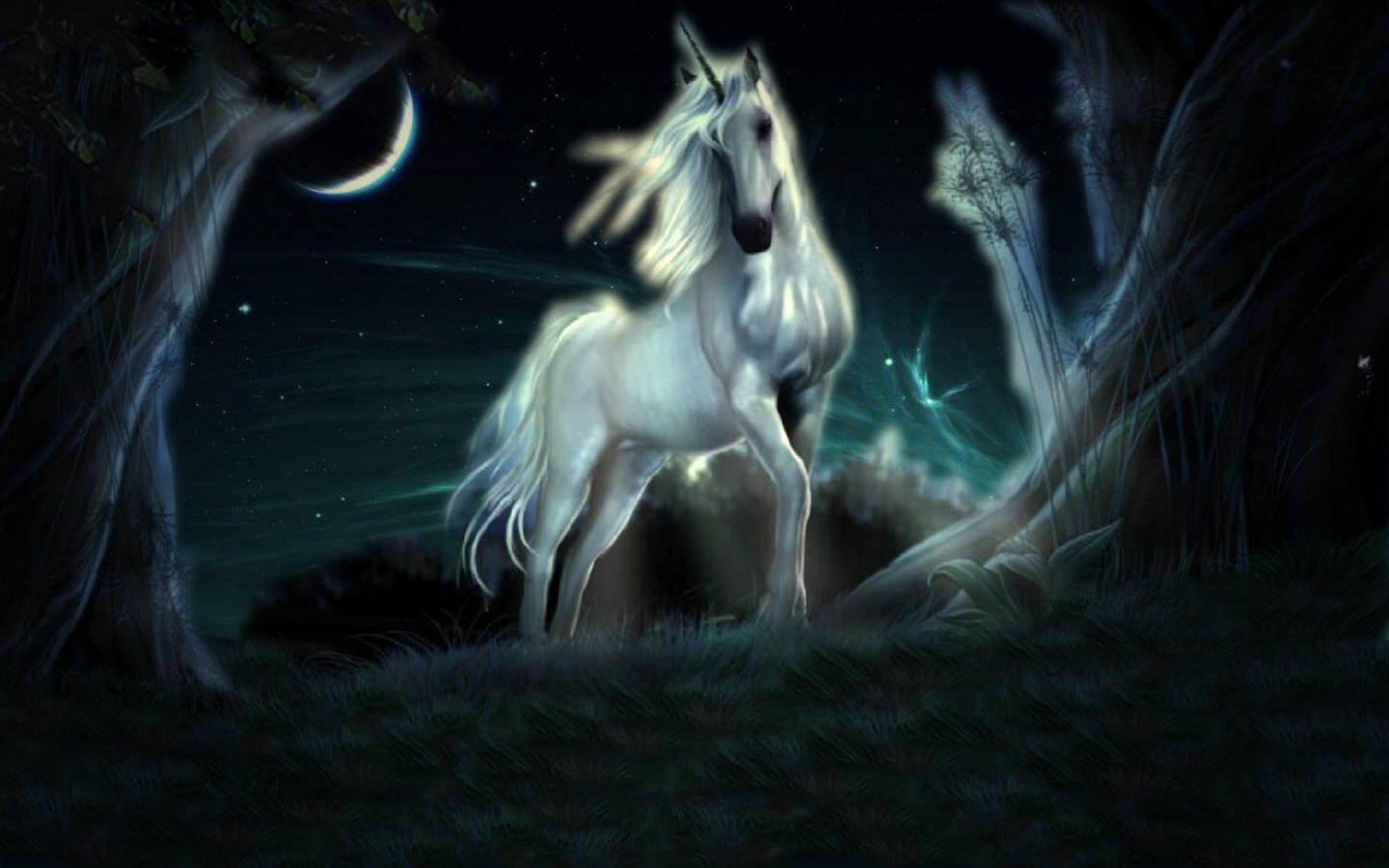 Unicorn Wallpaper Hd - HD Wallpaper 