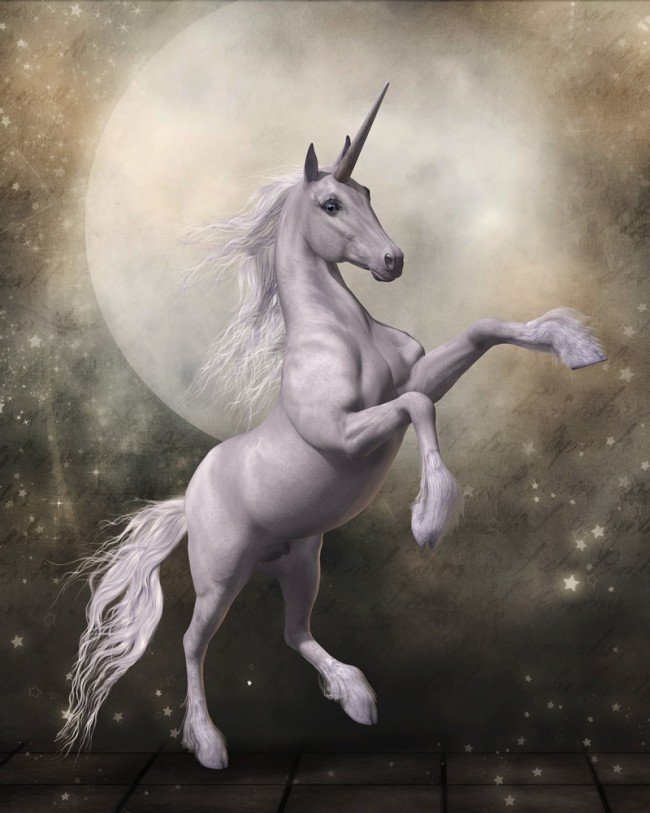 White Unicorn - HD Wallpaper 