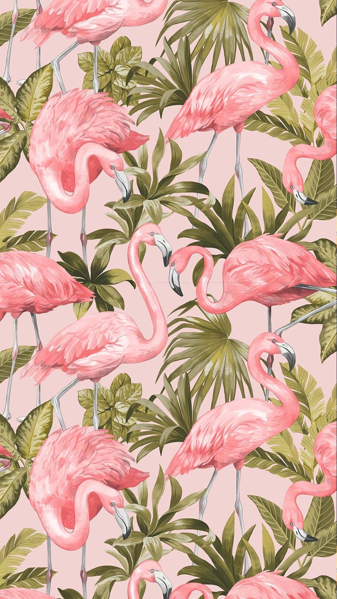 Gambar Wallpaper Flamingo - HD Wallpaper 