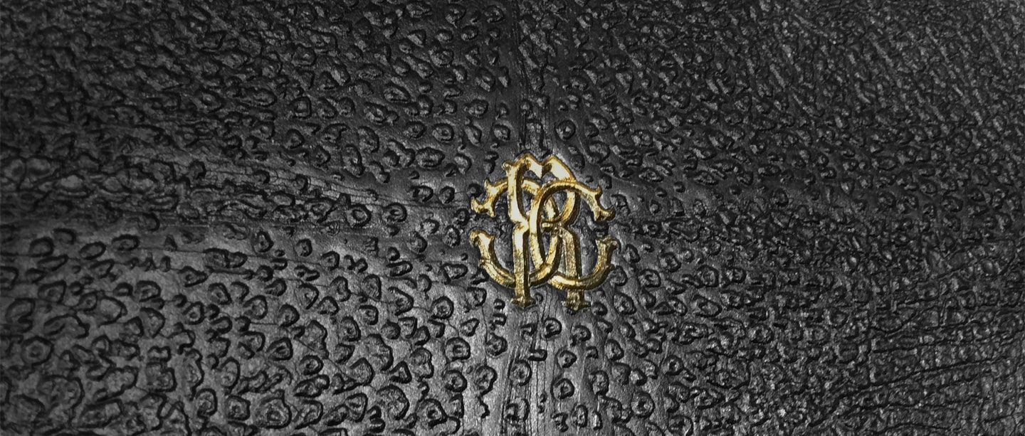 Macro Photography - HD Wallpaper 