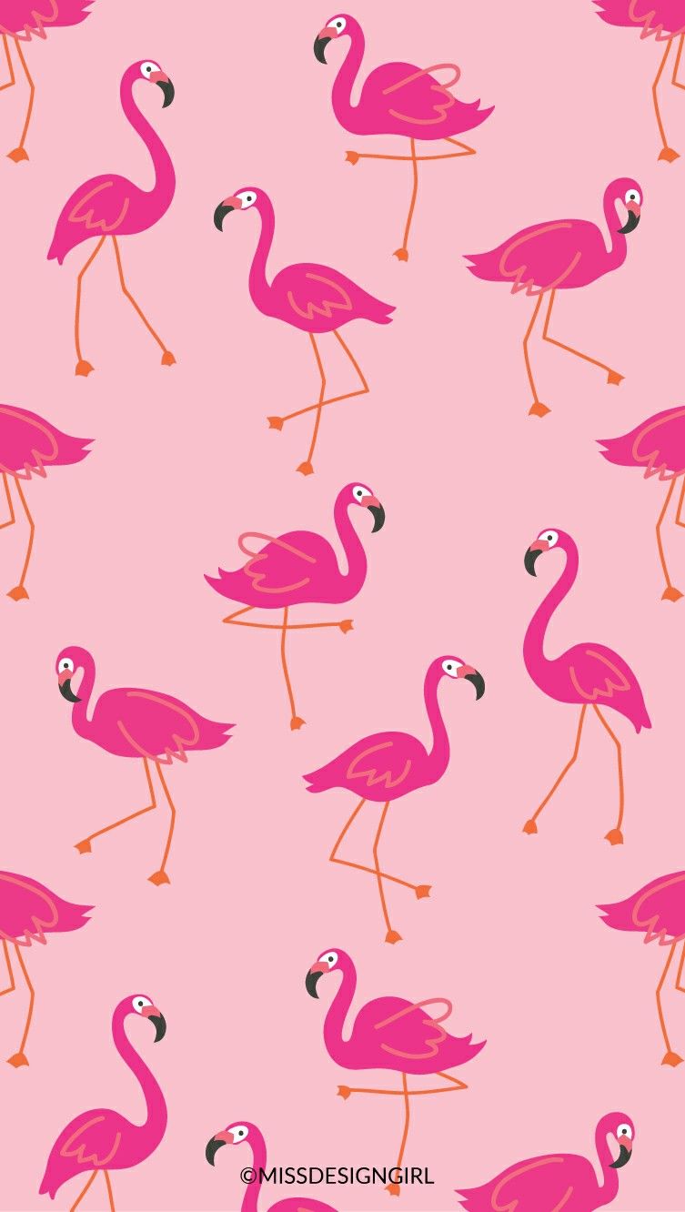 Flamingo Wallpapers - خلفيات فلامنغو - HD Wallpaper 