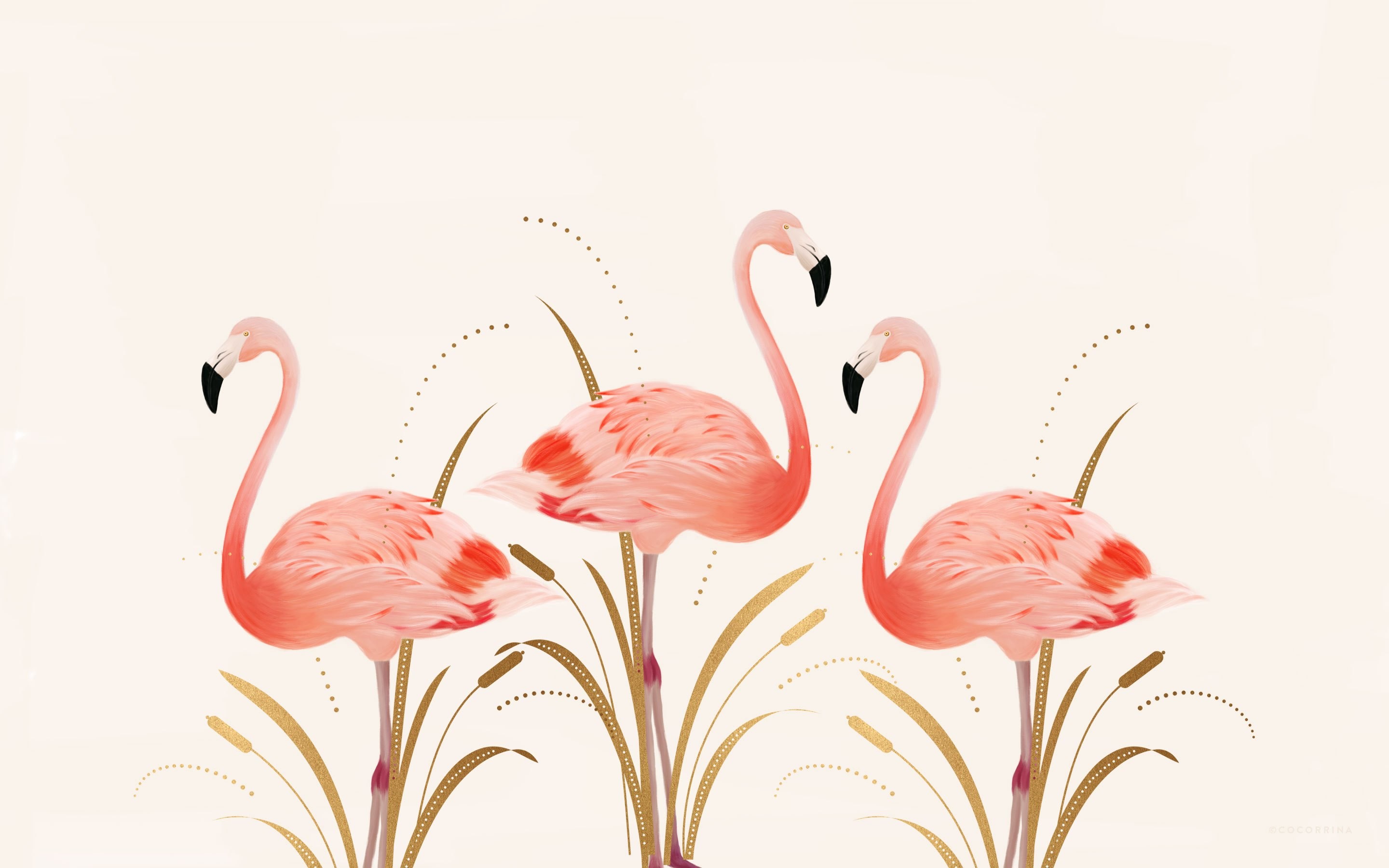 Flamingo Wallpapers Hd Resolution 
 Src Flamingo Wallpaper - 3 Flamingos - HD Wallpaper 