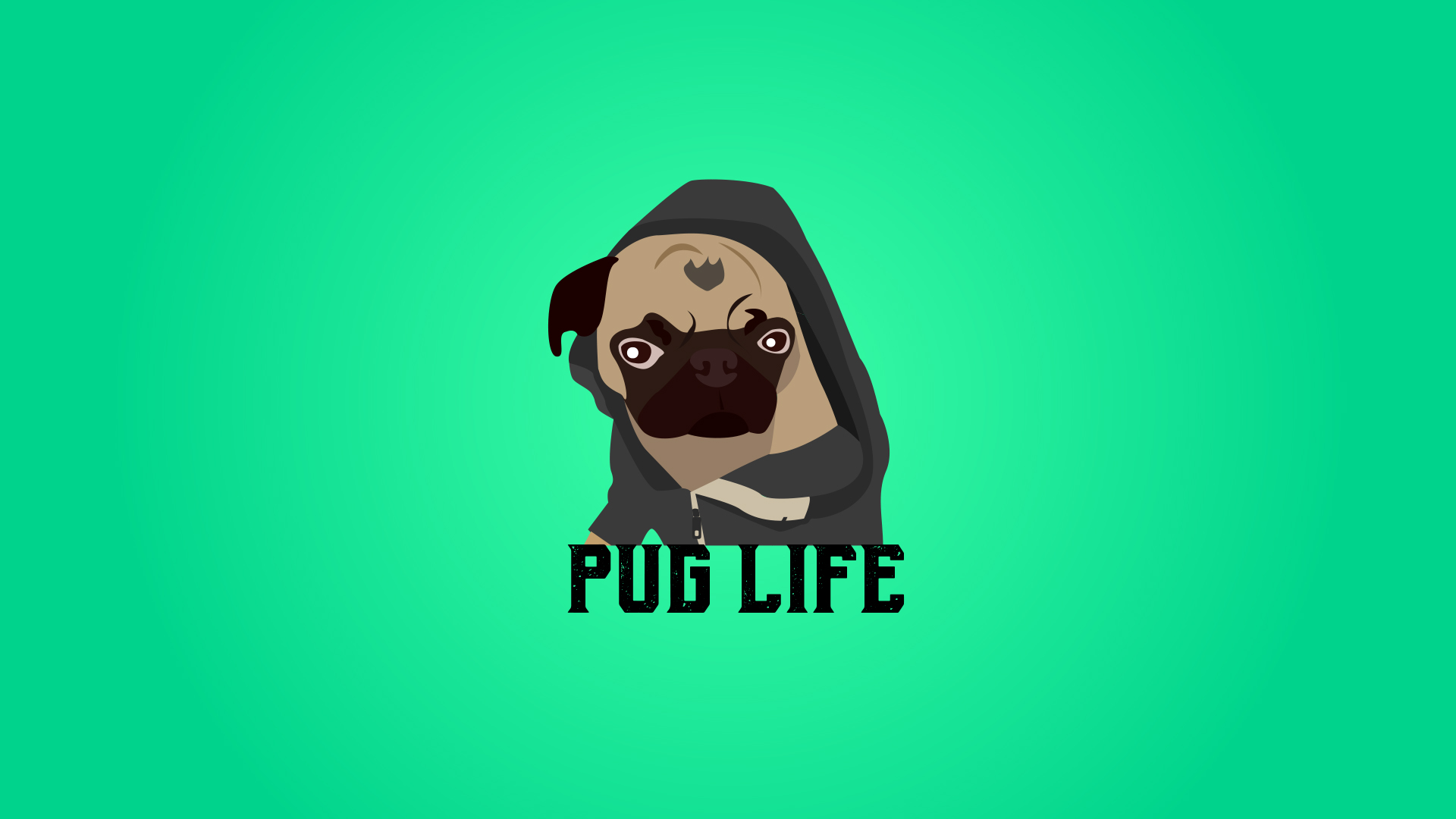 Pug - HD Wallpaper 