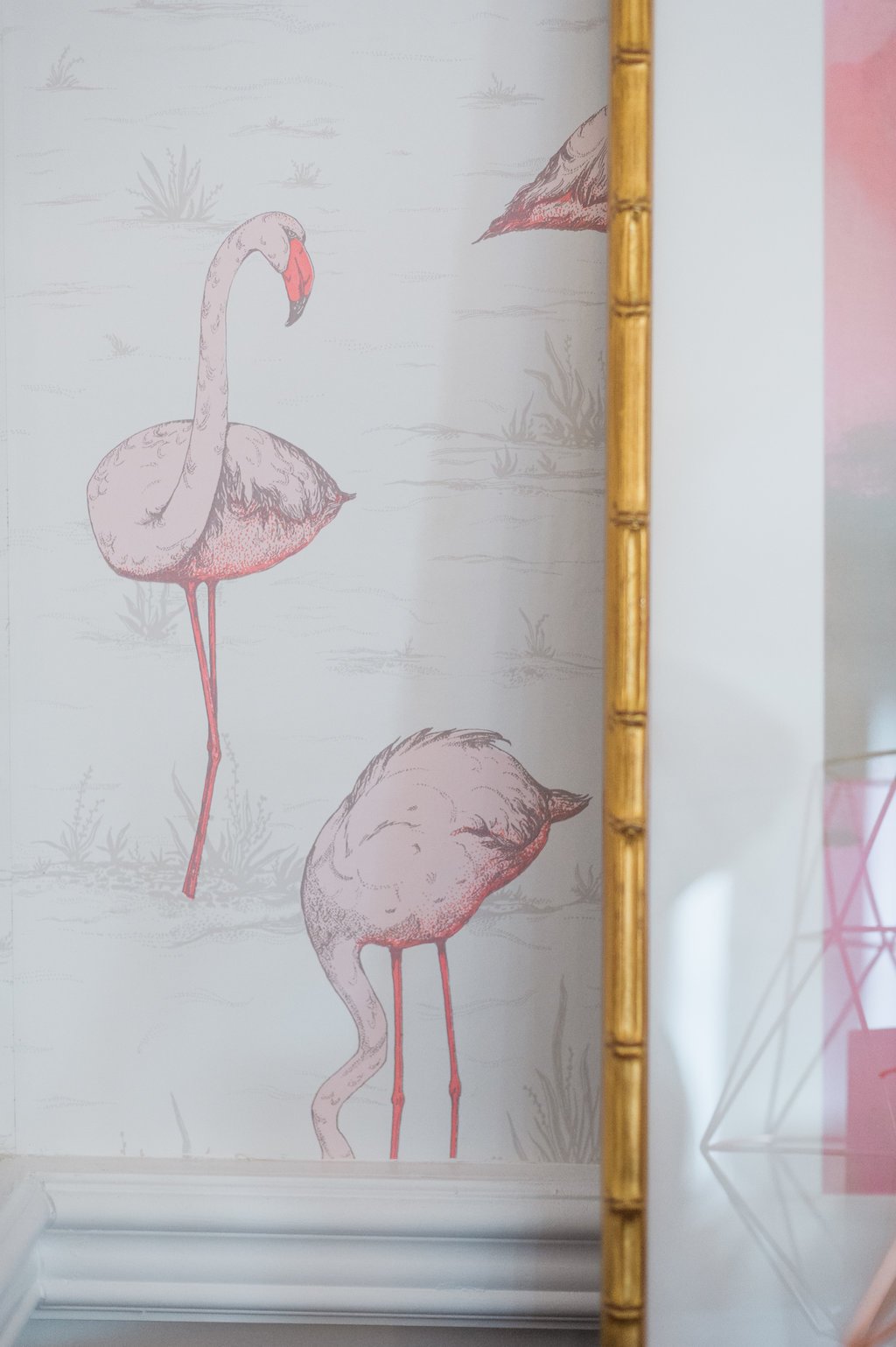Cole And Son Flamingo - HD Wallpaper 