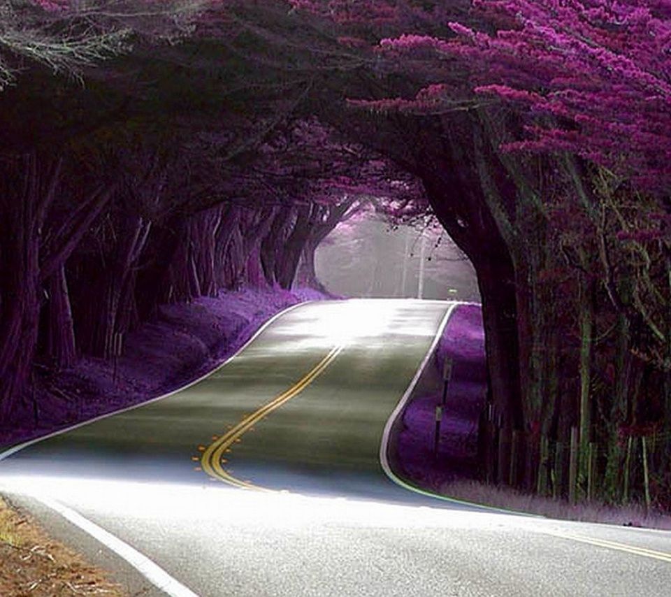 Popular Mobile Wallpapers Free Download - Nature Wallpaper Hd For Mobile Free Download - 960x854 Wallpaper Popular Mobile Wallpapers Free Download - Nature Wallpaper Hd For Mobile Free Download - 960x854 Wallpaper