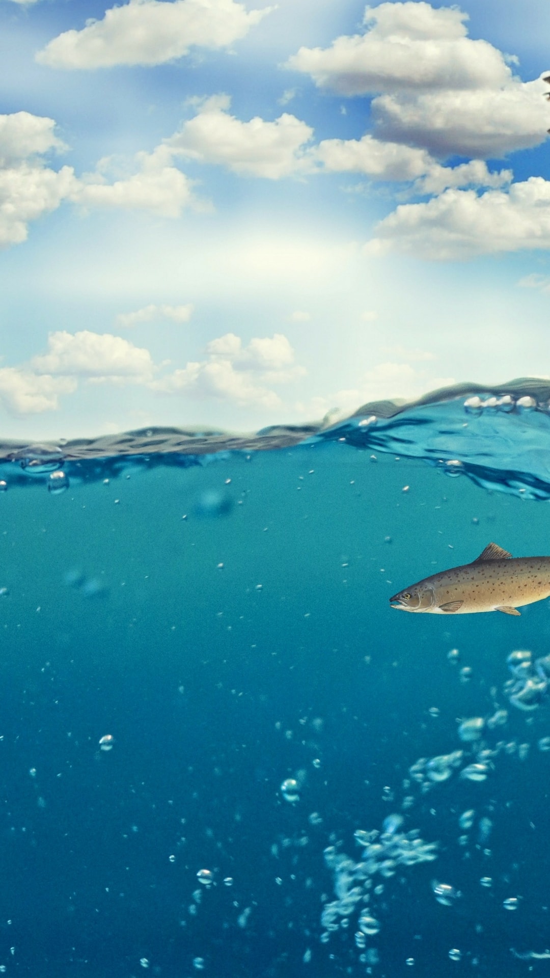 Iphone Wallpaper - Cute January 2019 Calendar Background - HD Wallpaper 