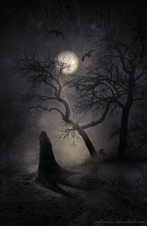 Hd Phone Wallpapers For All Screen Sizes - Windows Phone 7 - HD Wallpaper 