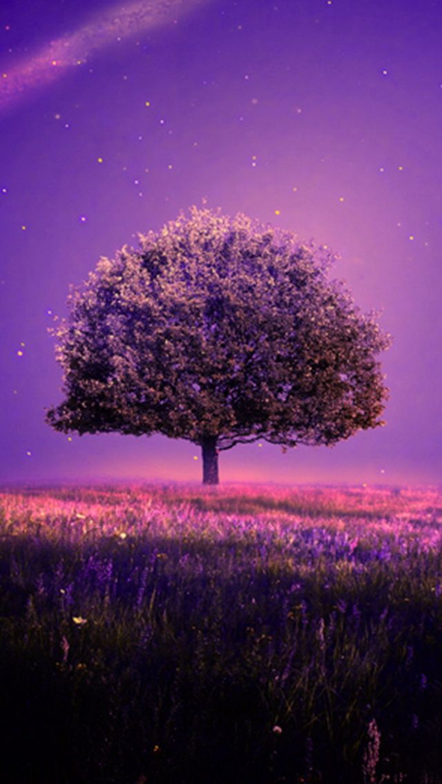 Mobile Phone Wallpapers Download - Nice Wallpaper For Phones - 640x1136 Wallpaper Mobile Phone Wallpapers Download - Nice Wallpaper For Phones - 640x1136 Wallpaper