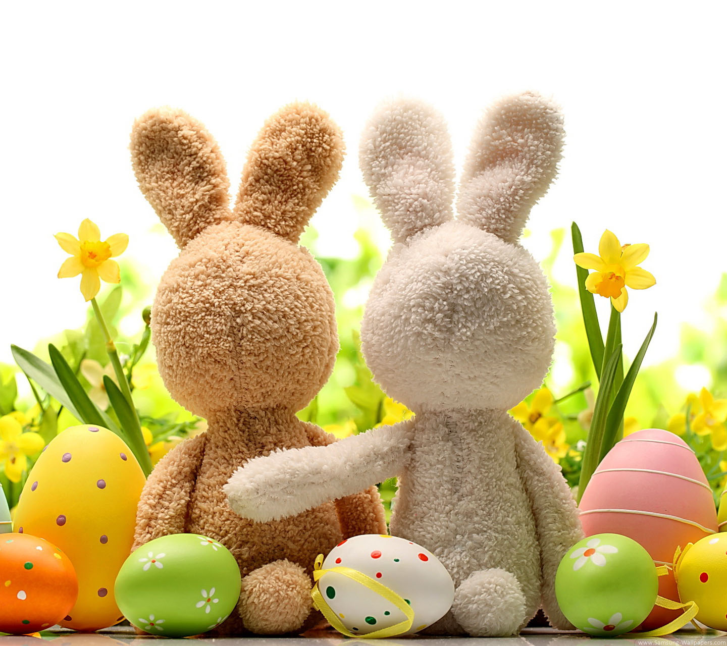 Cute Wallpaper For Mobile - 1440x1280 Wallpaper Cute Wallpaper For Mobile - 1440x1280 Wallpaper