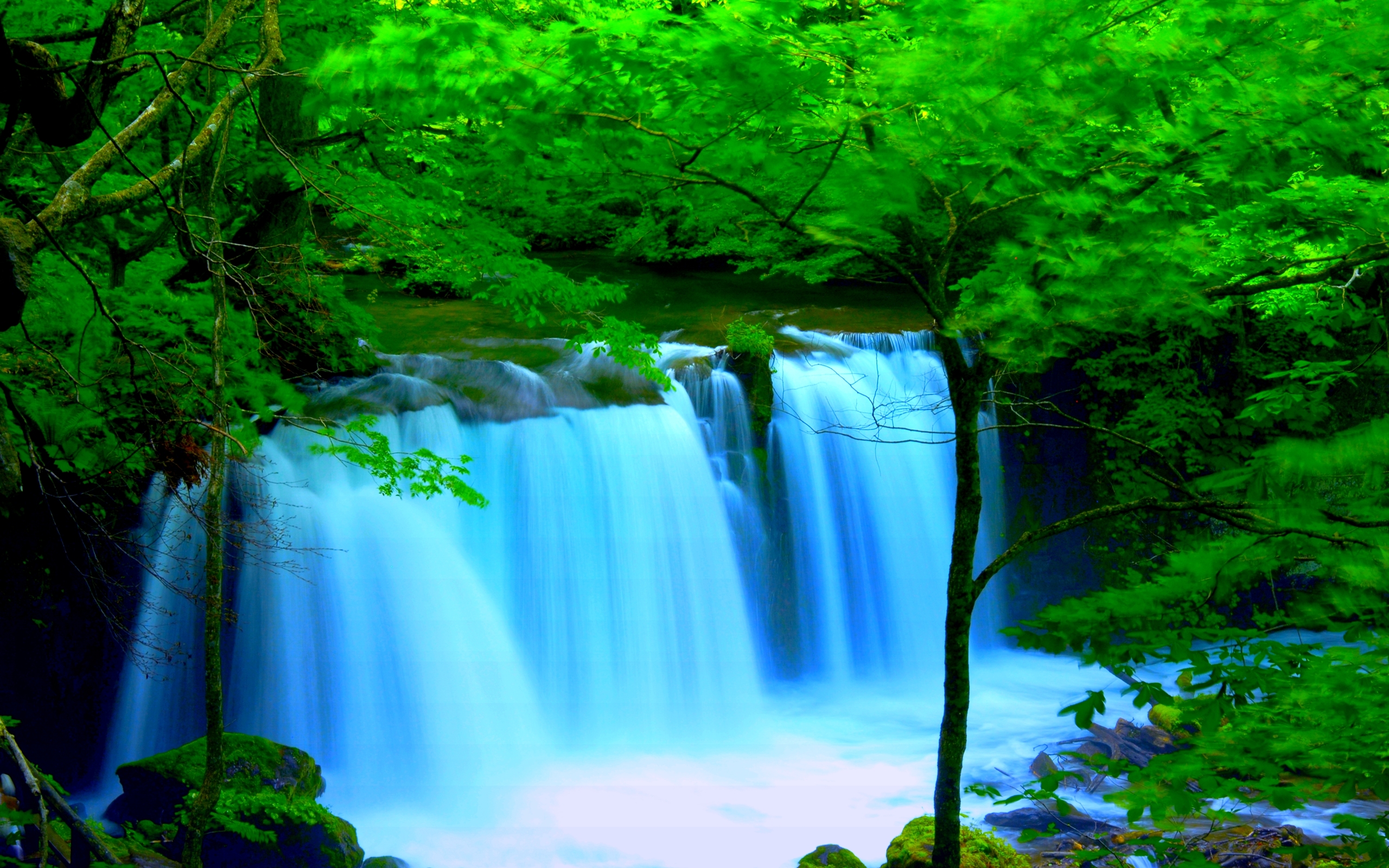 River Falls With Forest - HD Wallpaper 