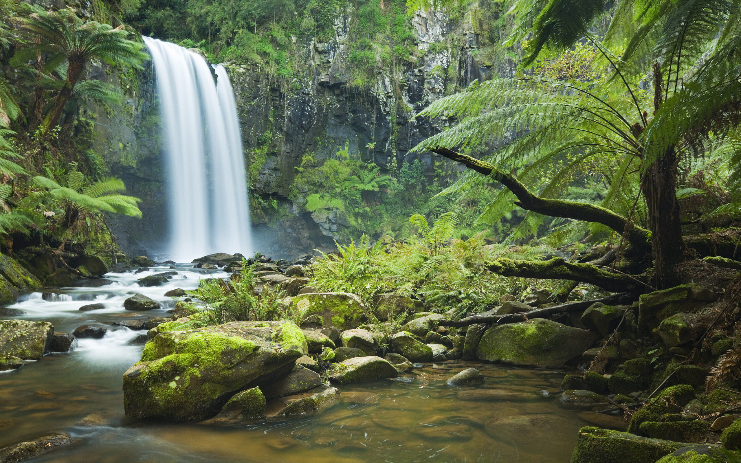 Waterfall Wallpaper Widescreen - Rainforest Background Hd - HD Wallpaper 