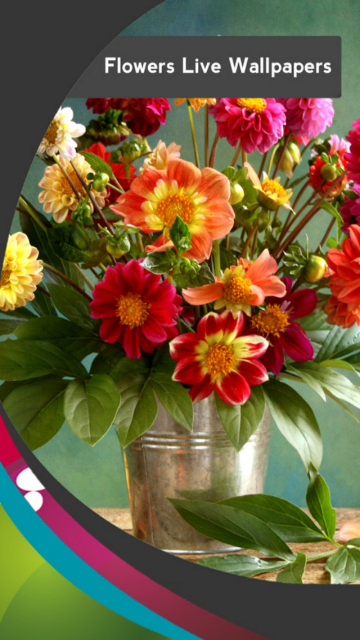 Flowers Live Wallpapers - Flowers Live - HD Wallpaper 