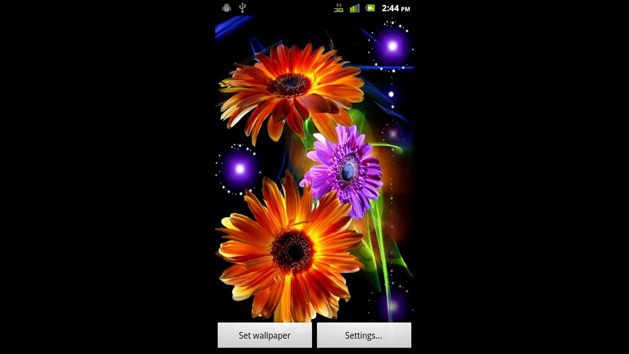 Animation Flowers Image Hd - HD Wallpaper 