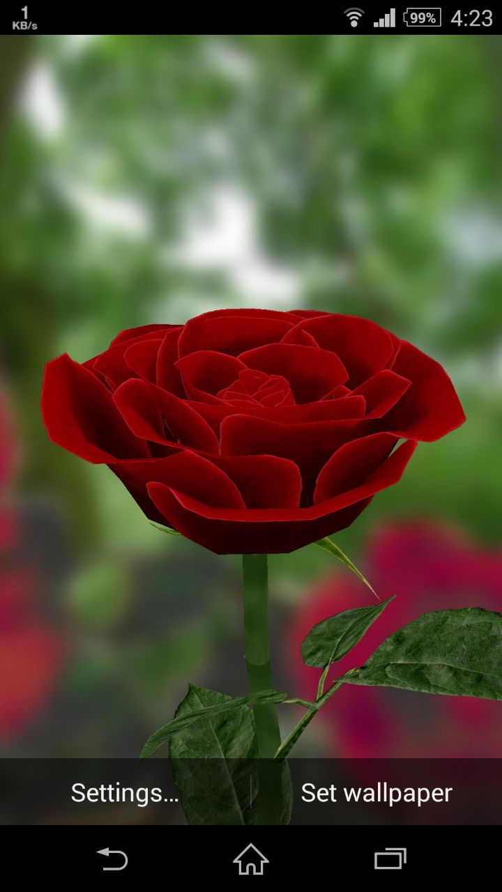 3d Flower Live Wallpaper - Live Wallpaper 3d Rose - HD Wallpaper 