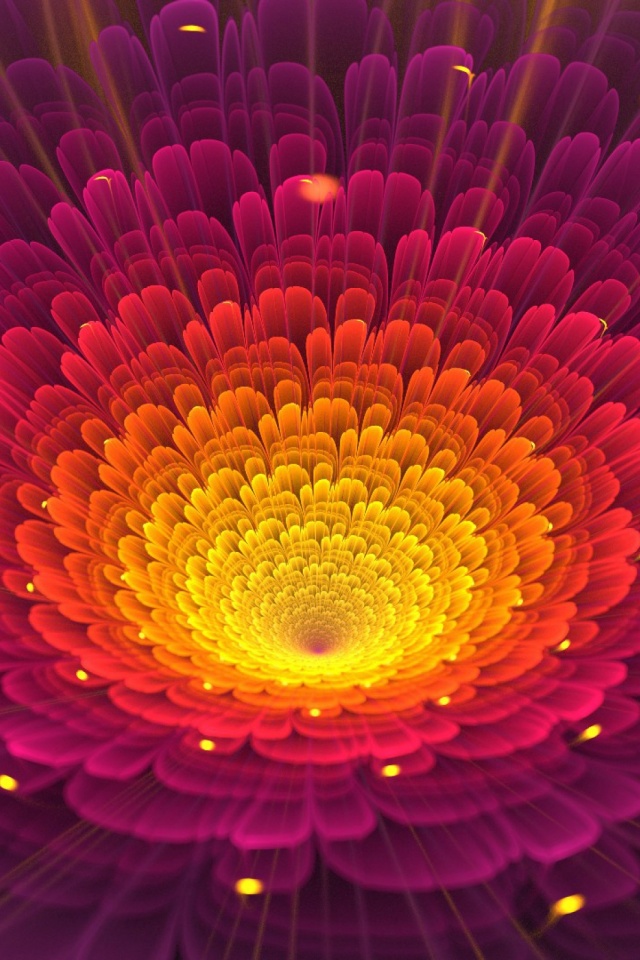 Glowing Flowers Live Wallpaper - Purple Orange Nature - HD Wallpaper 