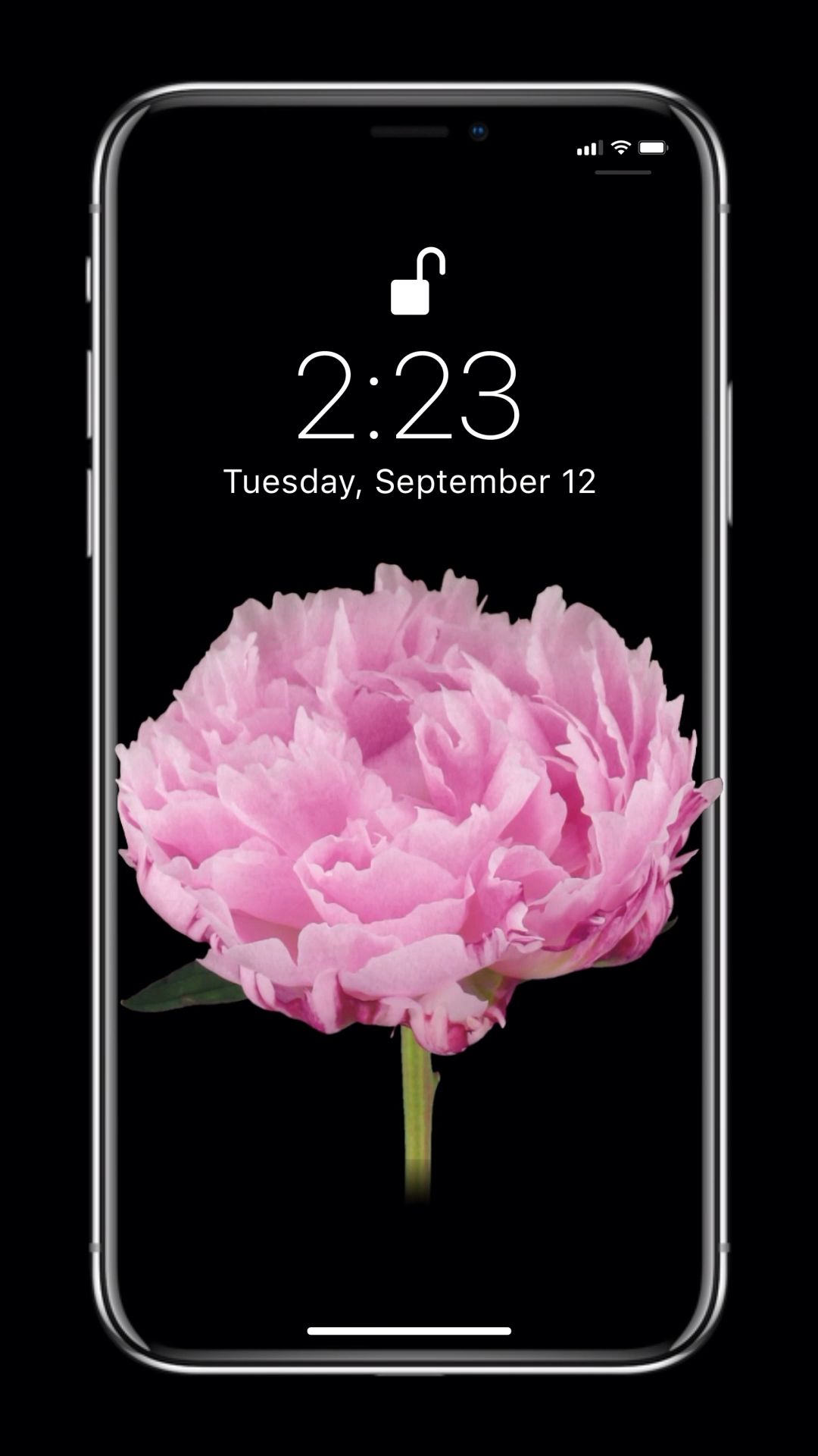 Iphone - HD Wallpaper 