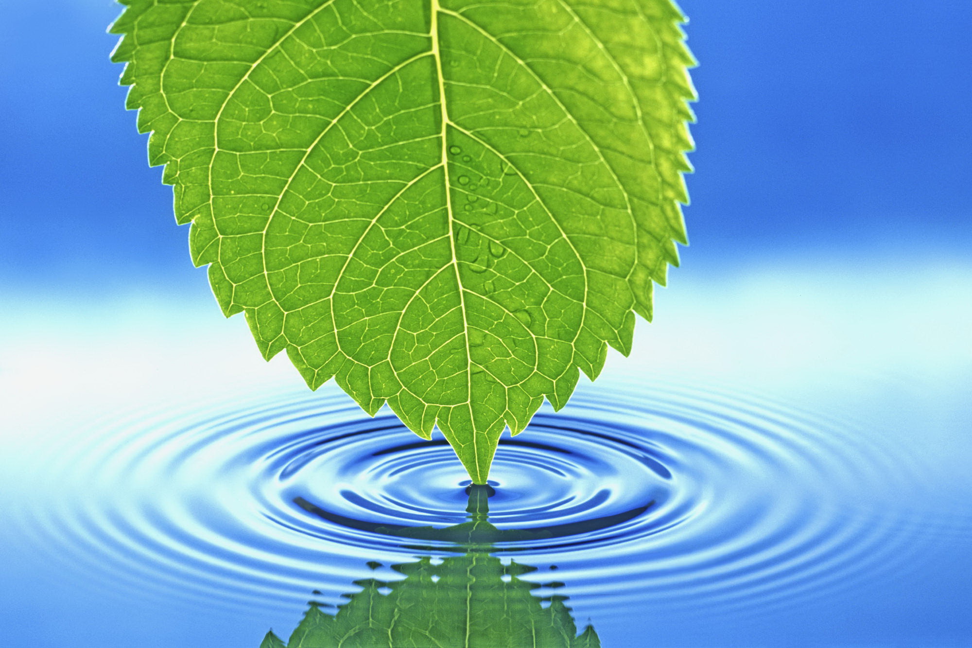 Peace Of Mind Hd - 1280x800 Wallpaper Peace Of Mind Hd - 1280x800 Wallpaper