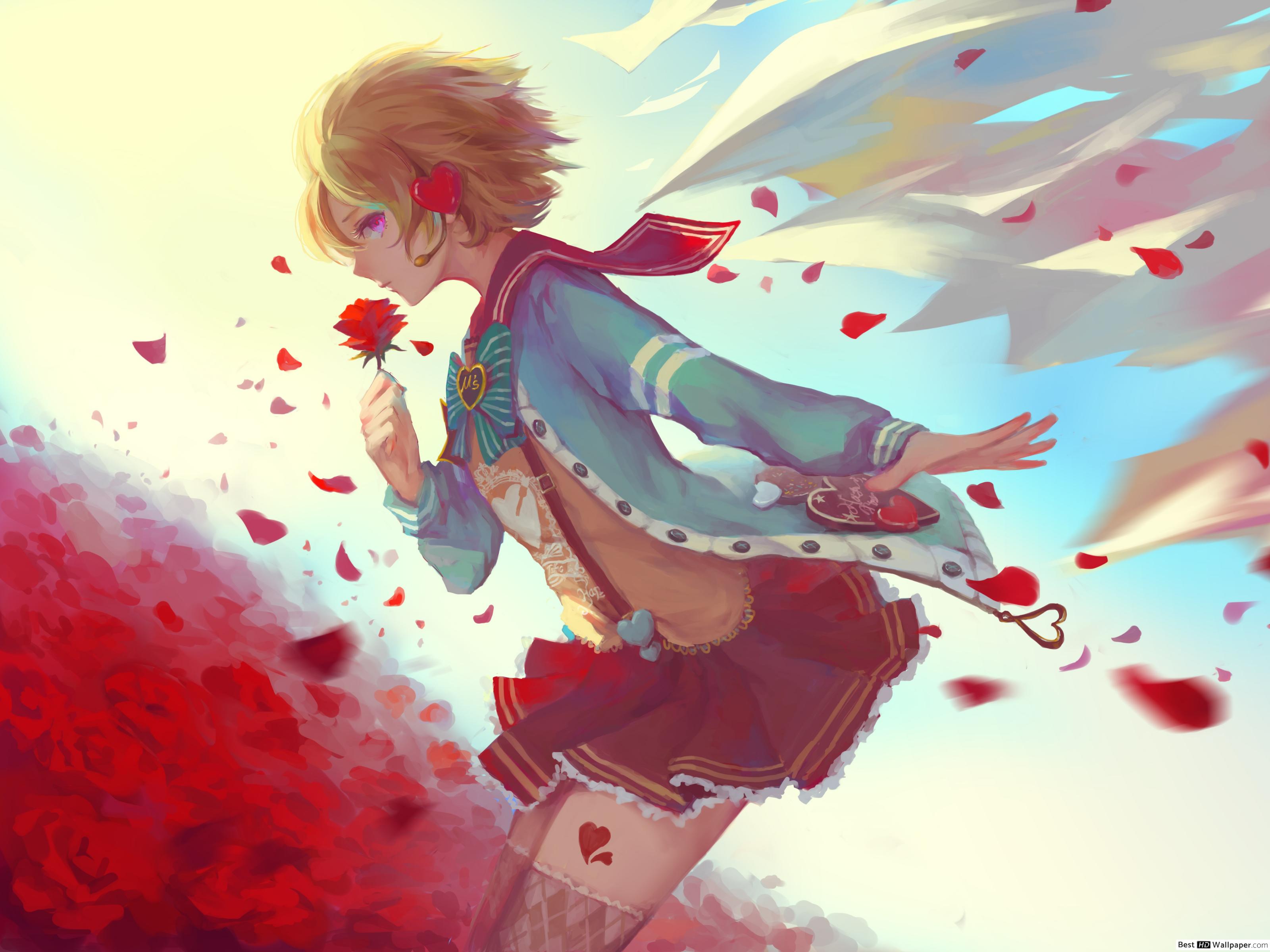 Hanayo Koizumi - HD Wallpaper 