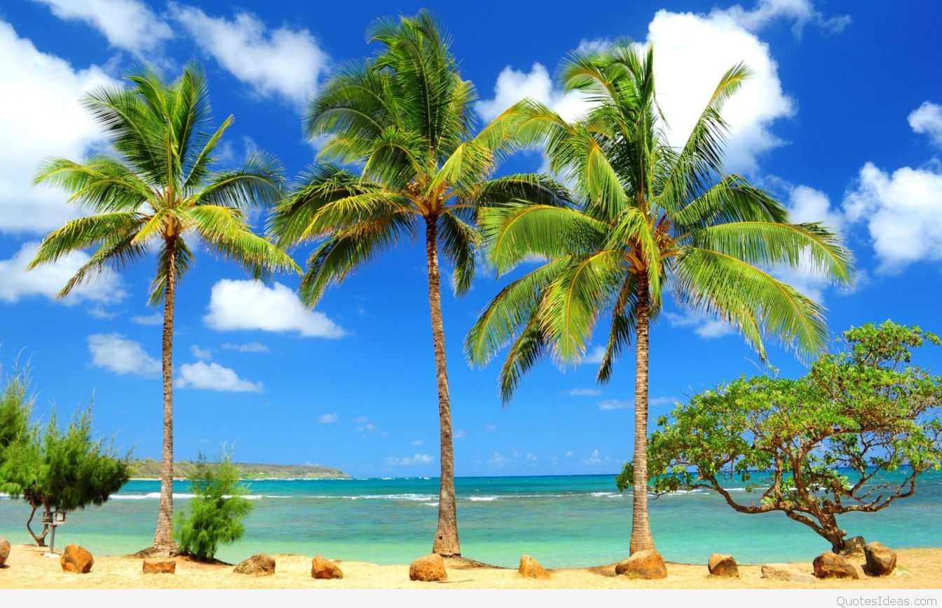 Download Hd Wallpaper Hd For Mobile 3d - HD Wallpaper 