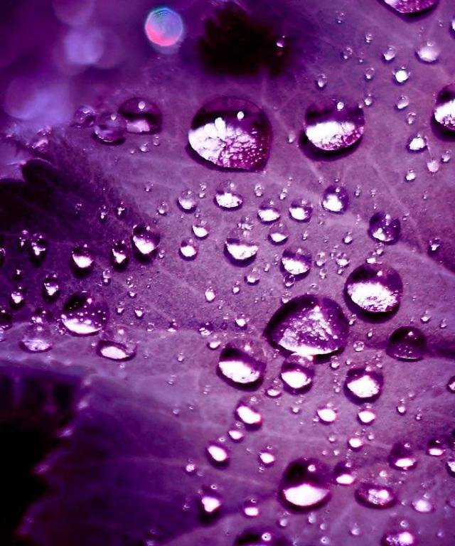 Samsung Hd Wallpapers For Mobile - HD Wallpaper 