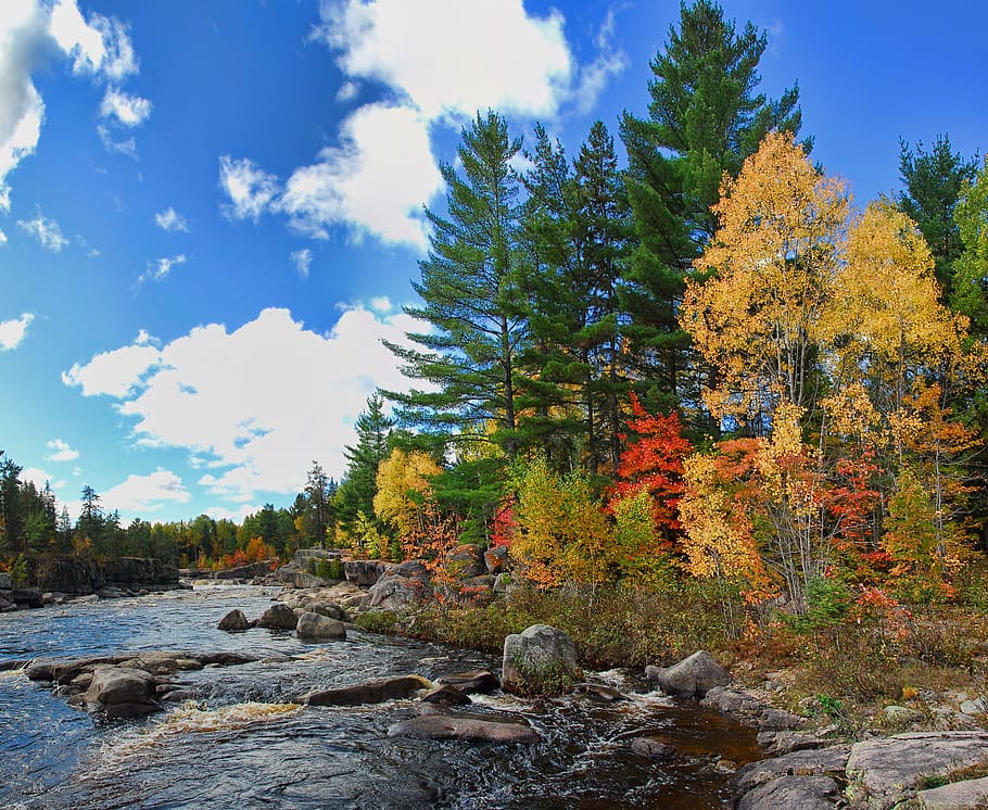 Autumn, Fall, Fall, Colors, Colours, Canada, Orange, - Autumn Canada Nature - HD Wallpaper 