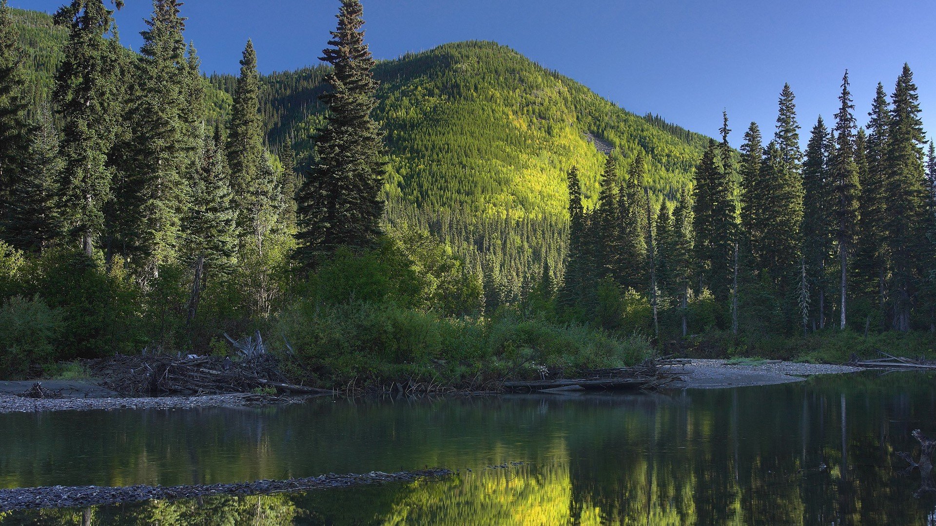 Stream Through Mountain Forest In Canada Wallpaper - Hd Wallpaper Canadian Forest - HD Wallpaper 