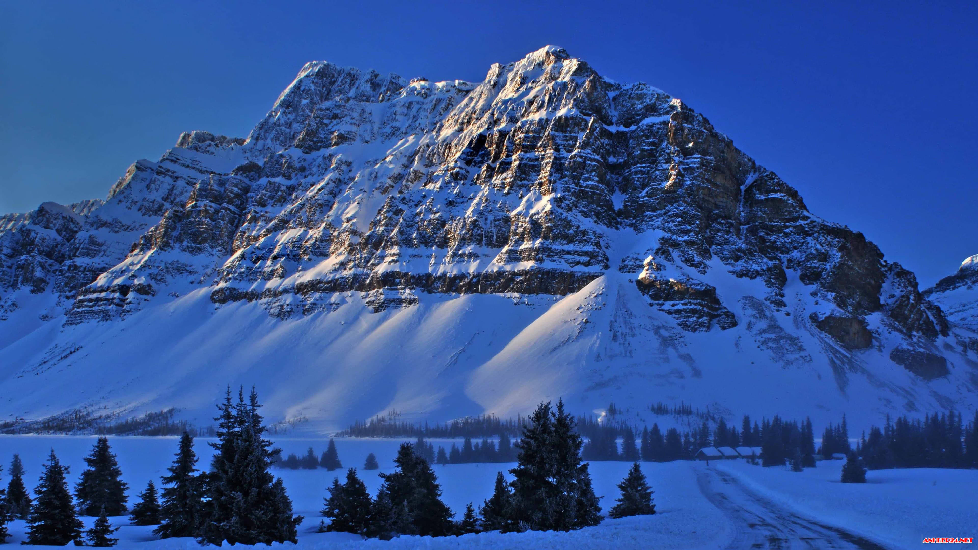 Snowy Mountains Bow Lake Banff National Park Alberta - Snowy Mountains Wallpaper 4k - HD Wallpaper 