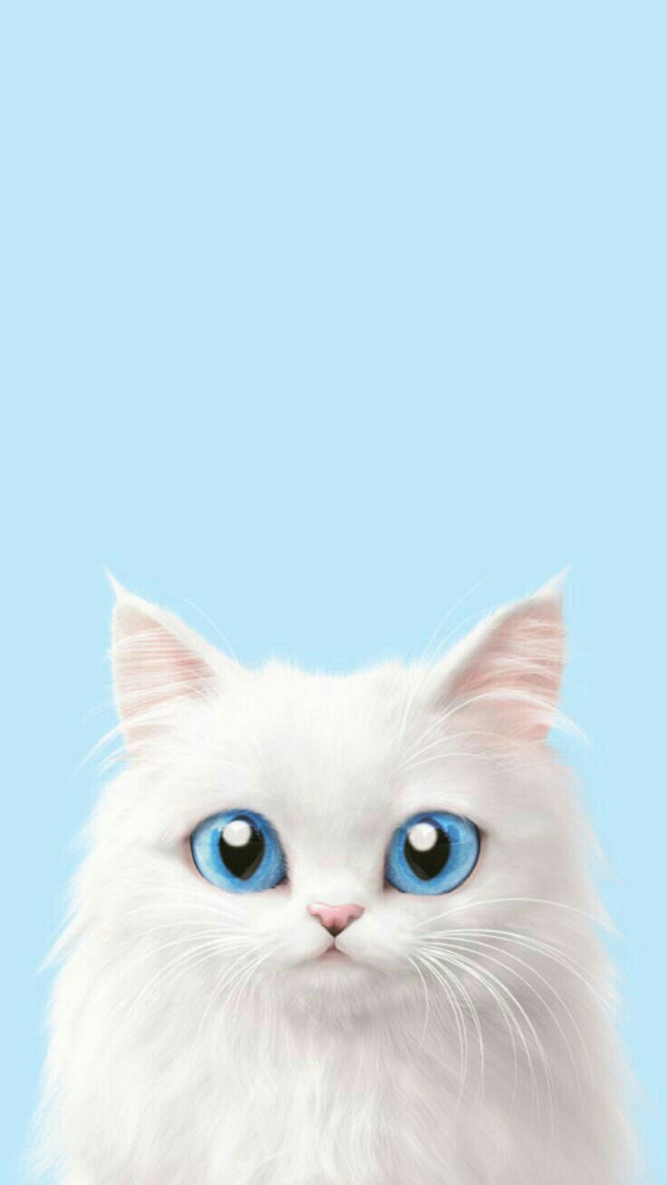 Cute Cat Wallpaper Iphone - HD Wallpaper 